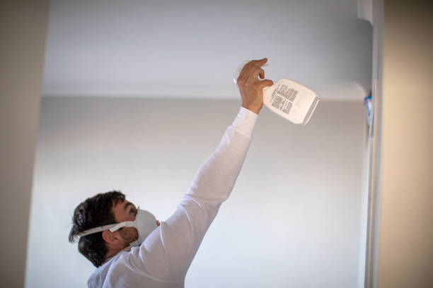 Best Fast Mold Removal  in Avon Lake, OH